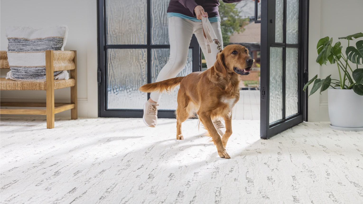 Carpet Flooring Killeen, TX | Technique Flooring and Restoration