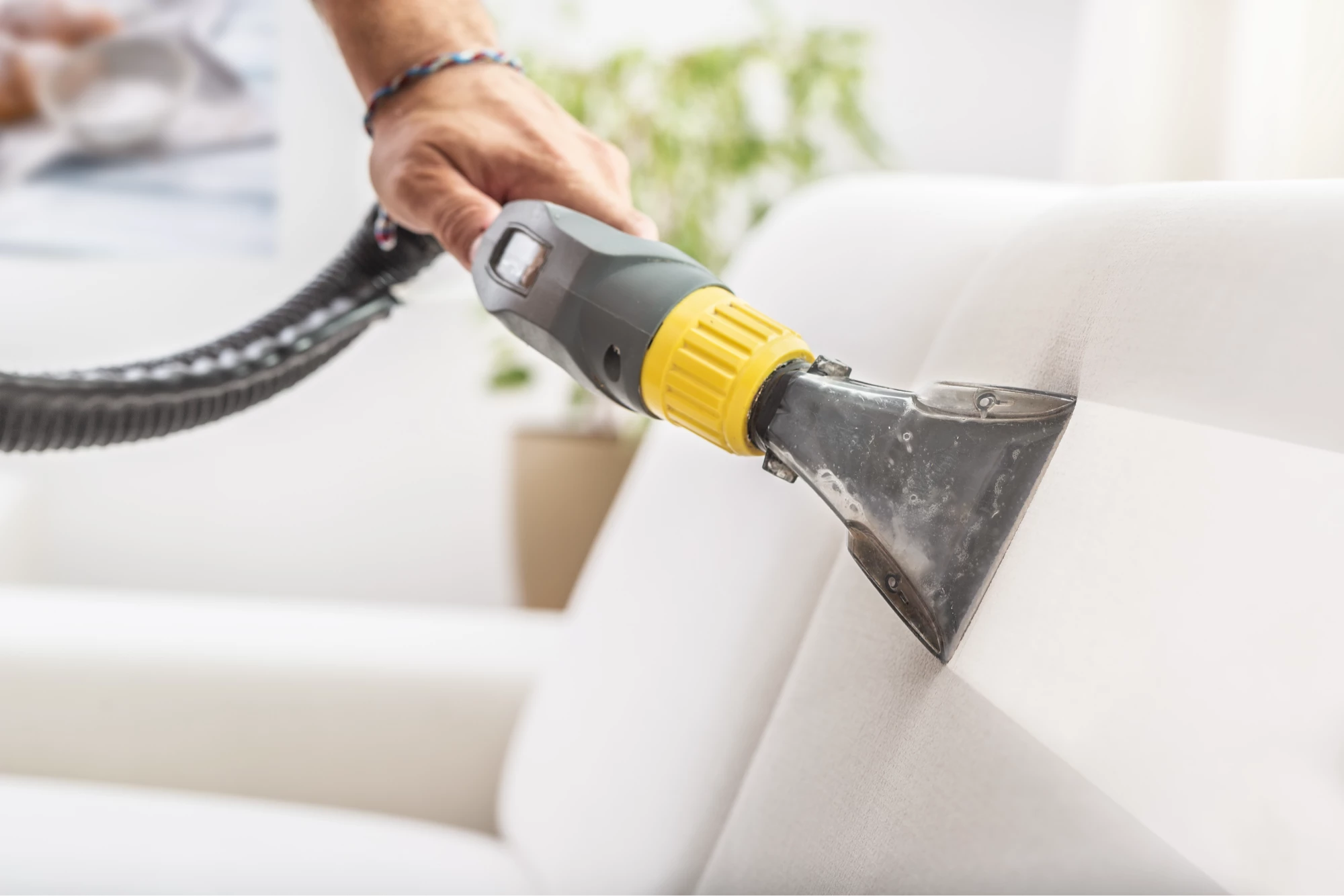 upholstery-cleaning