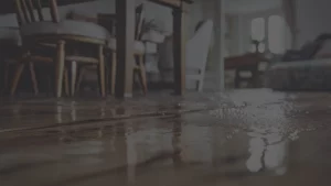 Emergency Flooding Services | Technique Flooring & Restoration